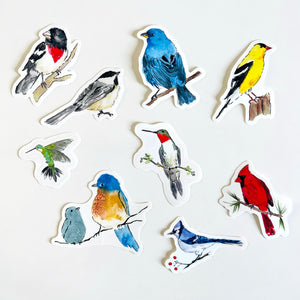 Backyard birds sticker set