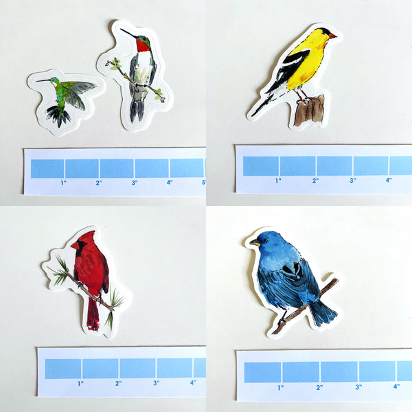 Backyard birds sticker set